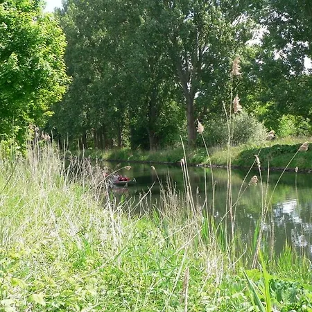 Apartment Sunday Plau am See